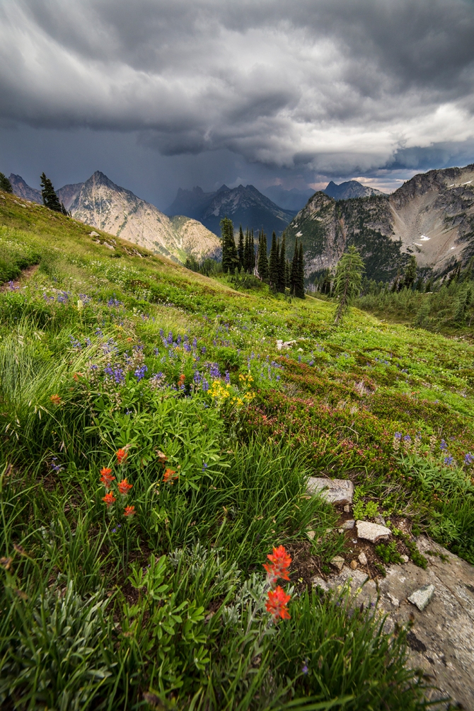 Storm Clouds along Maple Pass Trail